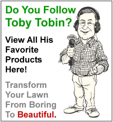 Toby Tobin's favorites