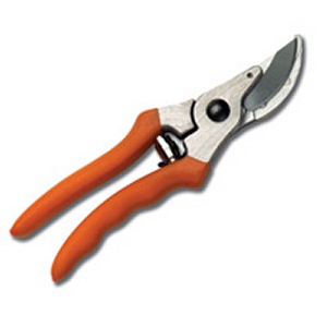 VALUE CHOICE PRUNERS