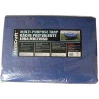 20x30 STORAGE COVER BLUE TARP